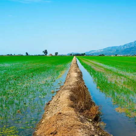 Royal Delta-4 By Interhome